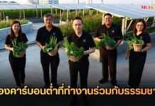 ธพส. ขับเคลื่อน “เมืองคาร์บอนต่ำที่ทำงานร่วมกับธรรมชาติ” สู่ต้นแบบ “ศูนย์ราชการแห่งศตวรรษที่ 21”