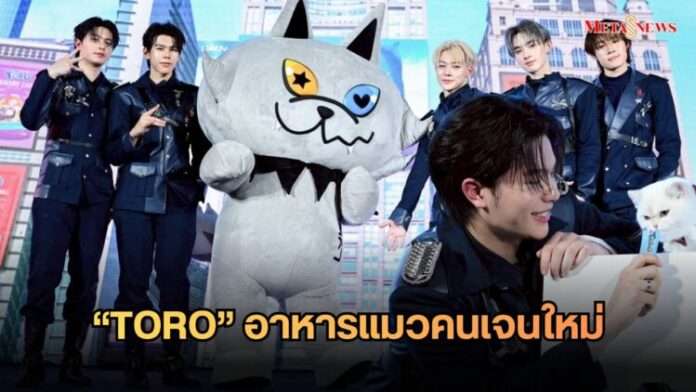 Meta1_20260209_155133_0000