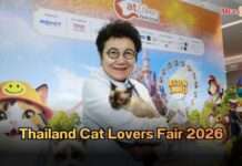 ทาสแมวเตรียมพุ่งตัว! อิมแพ็คเนรมิต “Thailand Cat Lovers Fair 2026” มหกรรมแมวสุดยิ่งใหญ่!!