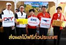 พาณิชย์ผนึกไปรษณีย์ไทย อัดมาตรการส่งผลไม้ฟรีทั่วประเทศ! ลดต้นทุนเกษตรกร ส่งตรงความสดจากสวนถึงมือผู้บริโภค