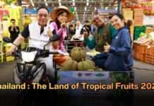 พาณิชย์ลุยแคมเปญ Thailand : The Land of Tropical Fruits 2026 ดึงตลาดกลาง–ตลาดสดร่วมกระจายผลผลิต 1,000 ตัน หนุนรายได้เกษตรกร