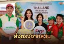 ส่งตรงจากสวน! พาณิชย์ดัน “Land of Tropical Fruits 2026” ณ ตลาดธันยา อ้อมใหญ่ ดึง “พิงกี้” ชวนช้อปผลไม้ไทย กระตุ้นบริโภคผลไม้ไทย สร้างรายได้ให้เกษตรกรทั่วประเทศ