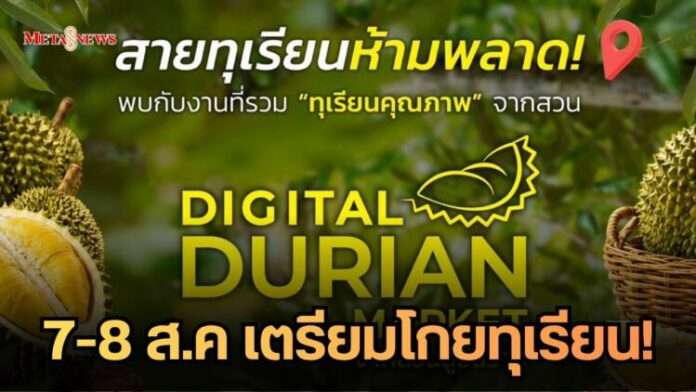 สำเนาของ Meta1_20260803_120600_0000